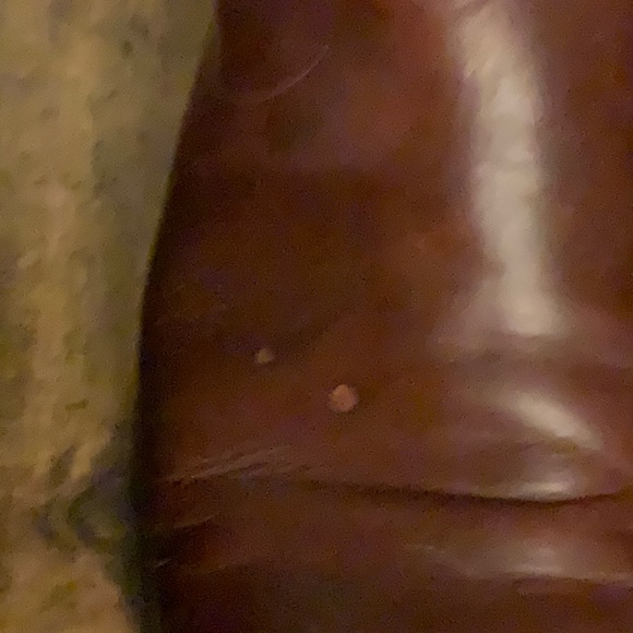 Frye Melissa Button boot - Picture 4 of 4